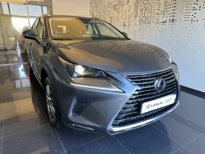 LEXUS NX 300h 2WD Pack Business MY19 occasion 2020 - Photo 3