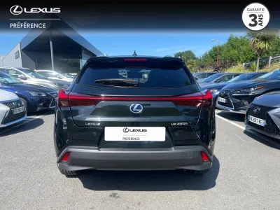 LEXUS UX 250h 2WD Luxe MY20 occasion 2021 - Photo 4