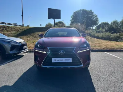 LEXUS NX 300h 2WD Business Euro6d-T occasion 2019 - Photo 2