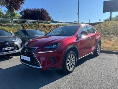 LEXUS NX 300h 2WD Business Euro6d-T occasion 2019 - Photo 1