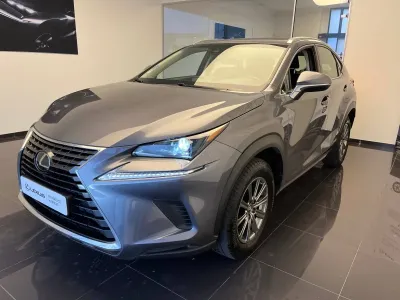 LEXUS NX 300h 2WD Business Euro6d-T occasion 2019 - Photo 1