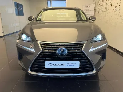 LEXUS NX 300h 2WD Business Euro6d-T occasion 2019 - Photo 2