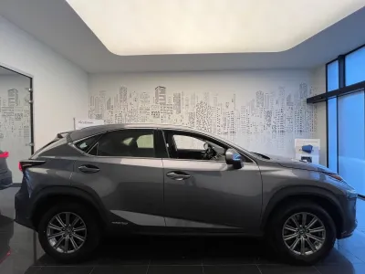 LEXUS NX 300h 2WD Business Euro6d-T occasion 2019 - Photo 4