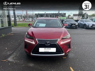 LEXUS NX 300h 4WD Luxe Euro6d-T occasion 2019 - Photo 2