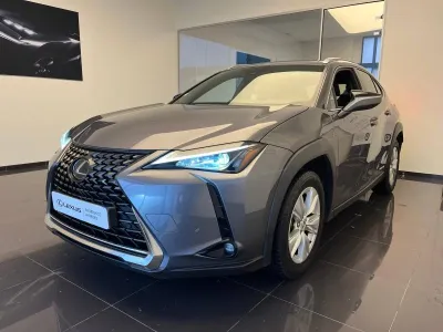 LEXUS UX 250h 4WD Pack MY20 occasion 2019 - Photo 1