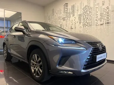 LEXUS NX 300h 2WD Pack MY20 occasion 2019 - Photo 3