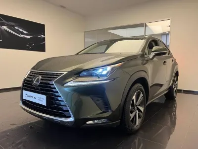 LEXUS NX 300h 4WD Executive Innovation MY21 occasion 2021 - Photo 1