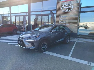 LEXUS NX 300h 2WD Pack Business MY21 occasion 2021 - Photo 2