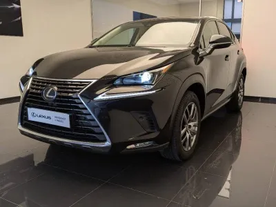 LEXUS NX 300h 2WD Luxe MM19 occasion 2019 - Photo 1